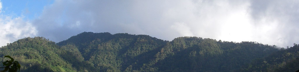 View from the retreat center View from the retreat center